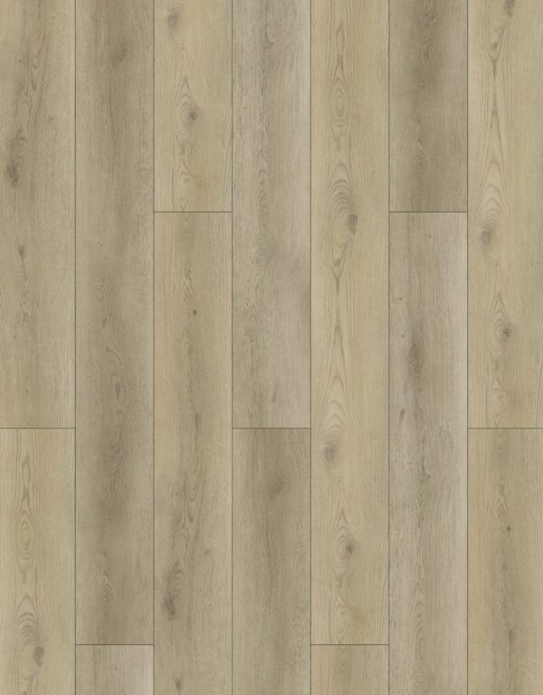 E88081XL-003