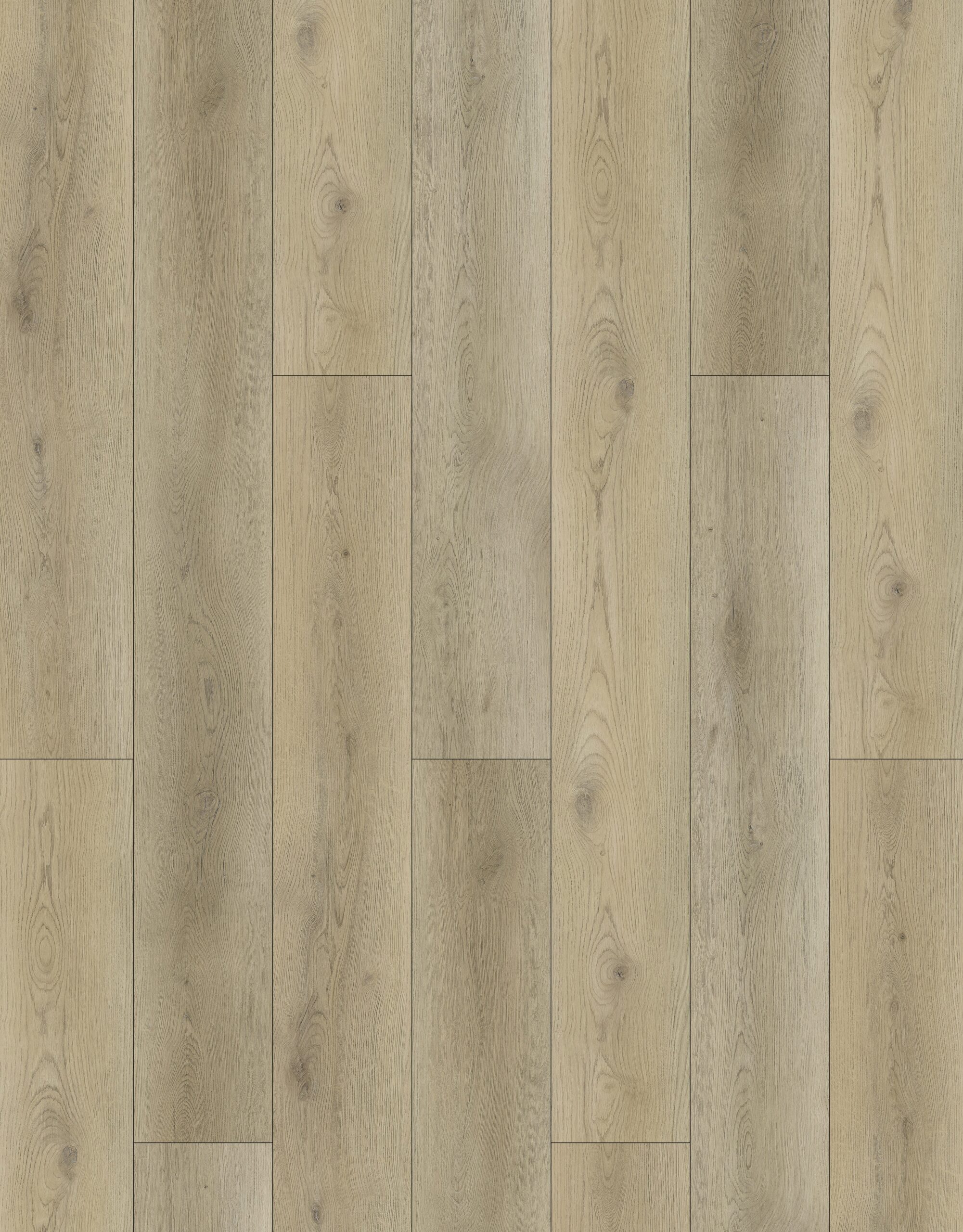 E88081XL-003