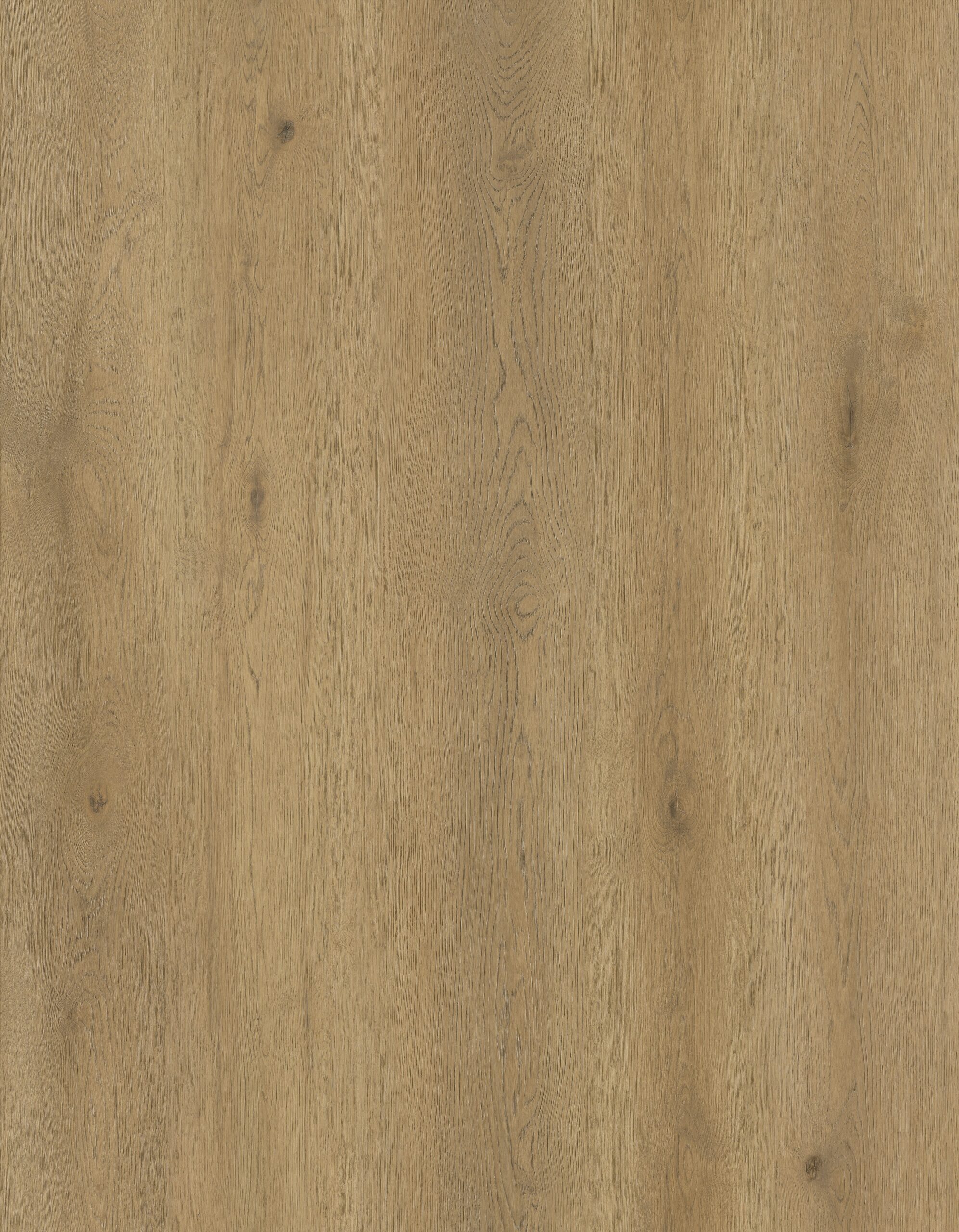 E88150-008