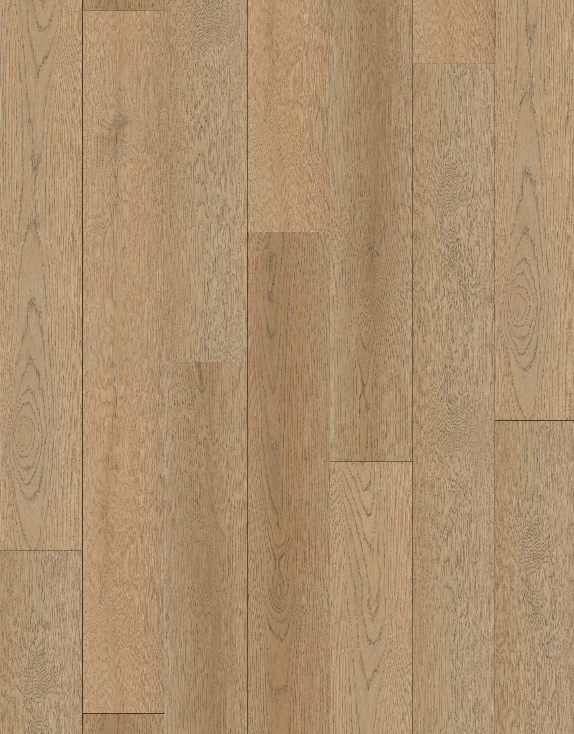 SPC Flooring Barranquilla Hotel