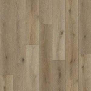 E88231L-001