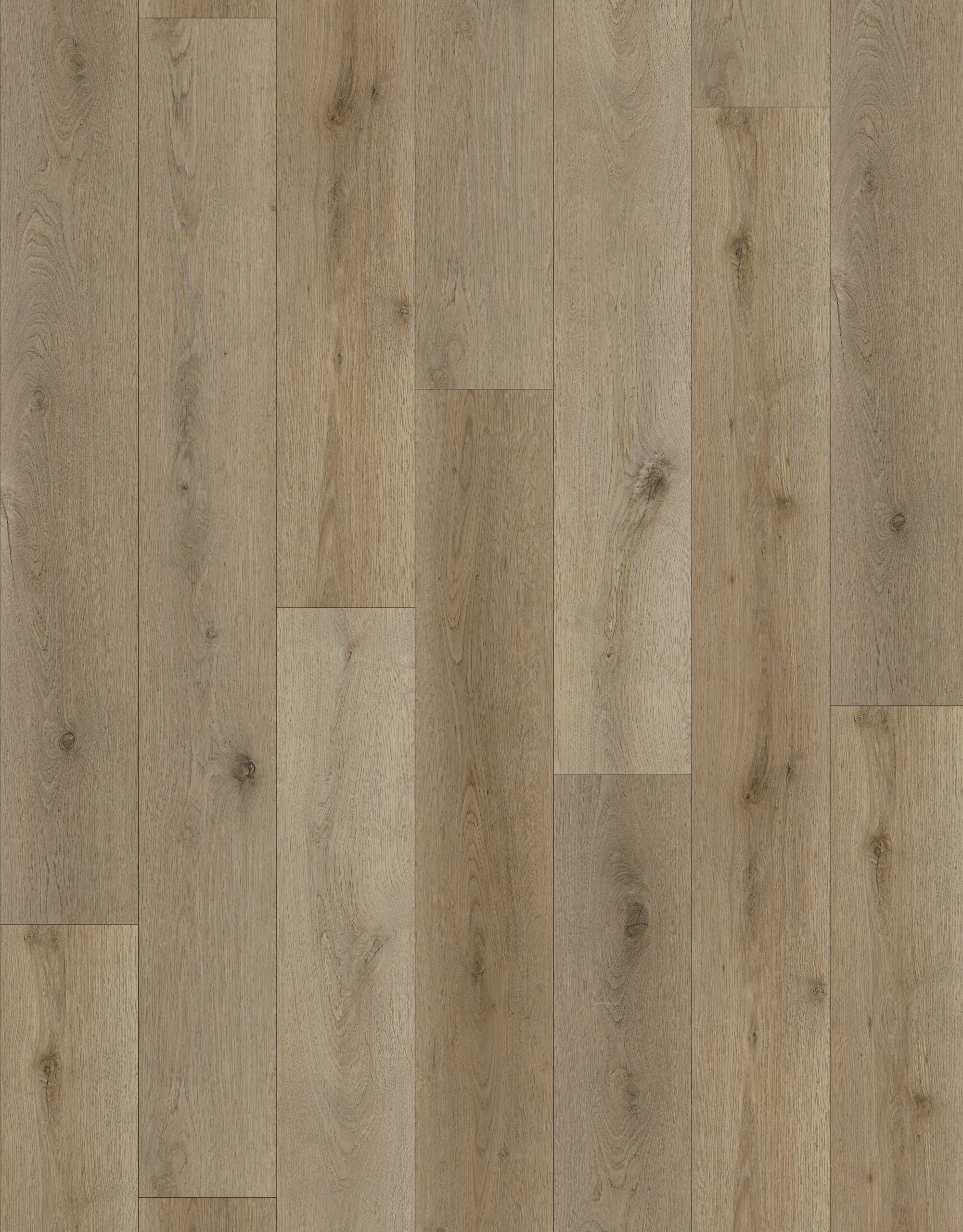 E88231L-001
