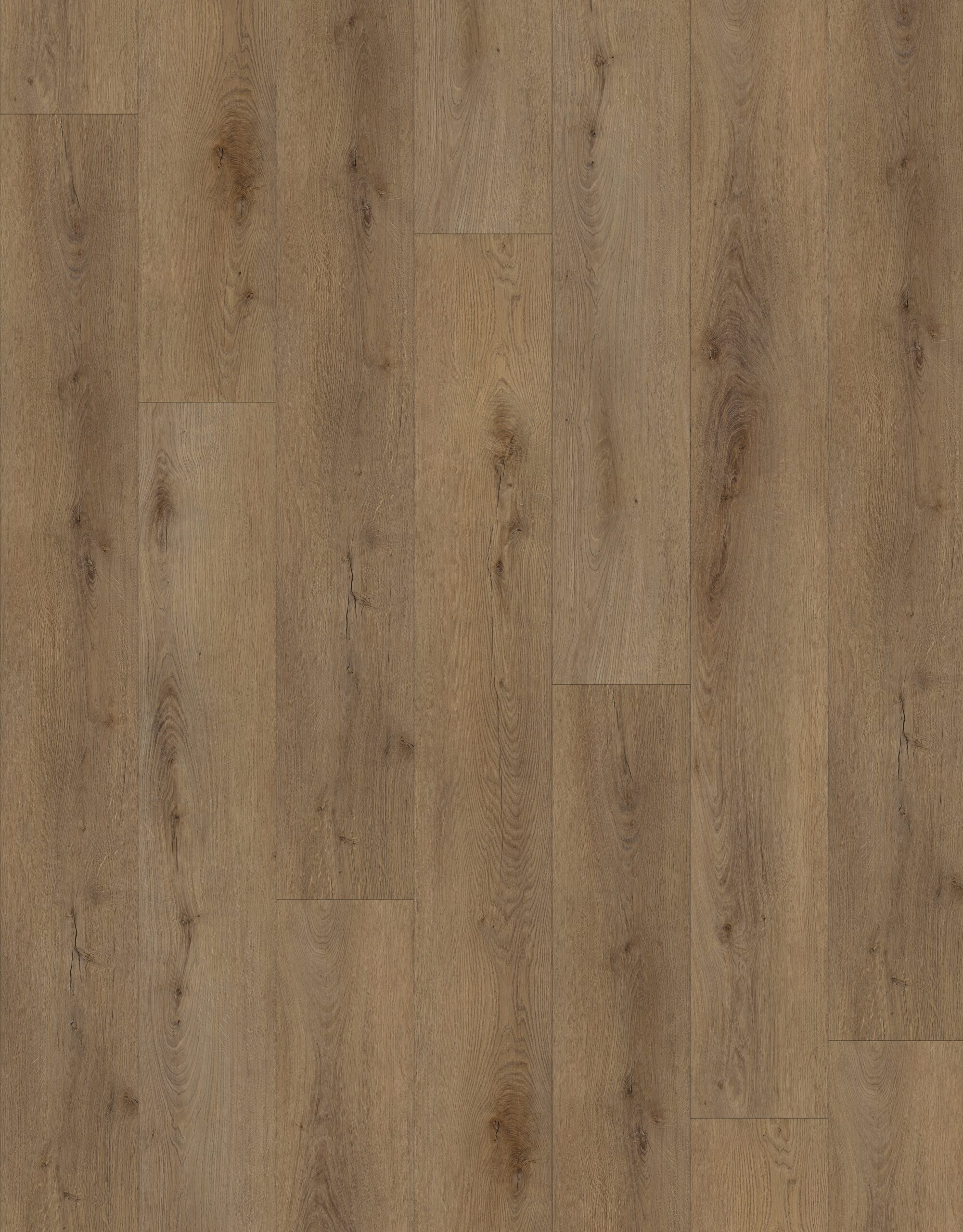 Luminous Oak Portugal