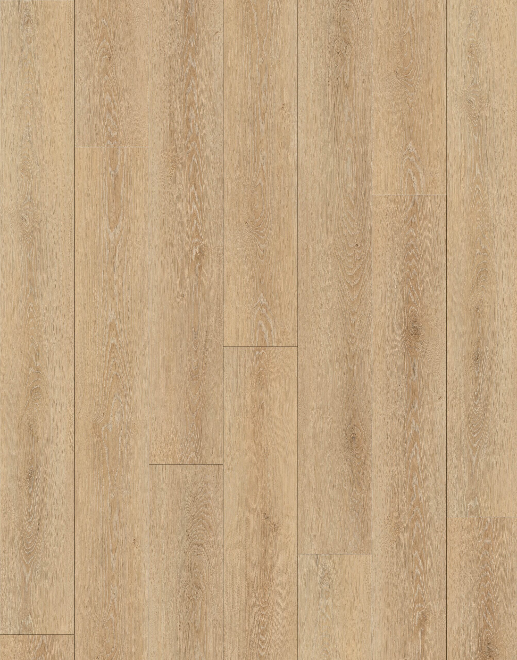 Scandinavian Oak SPC Leipzig