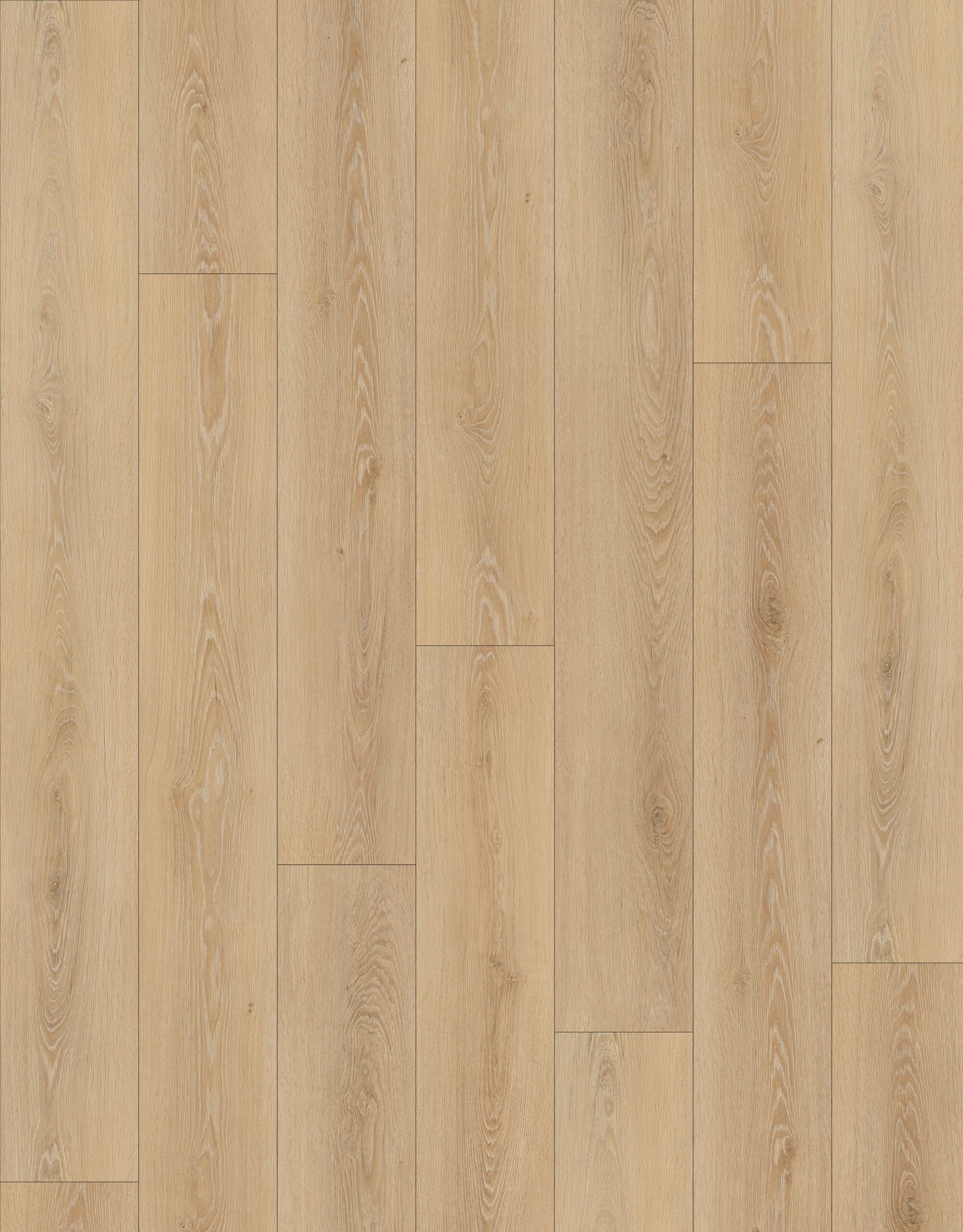 E88284L-002
