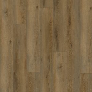 E88288XL-001