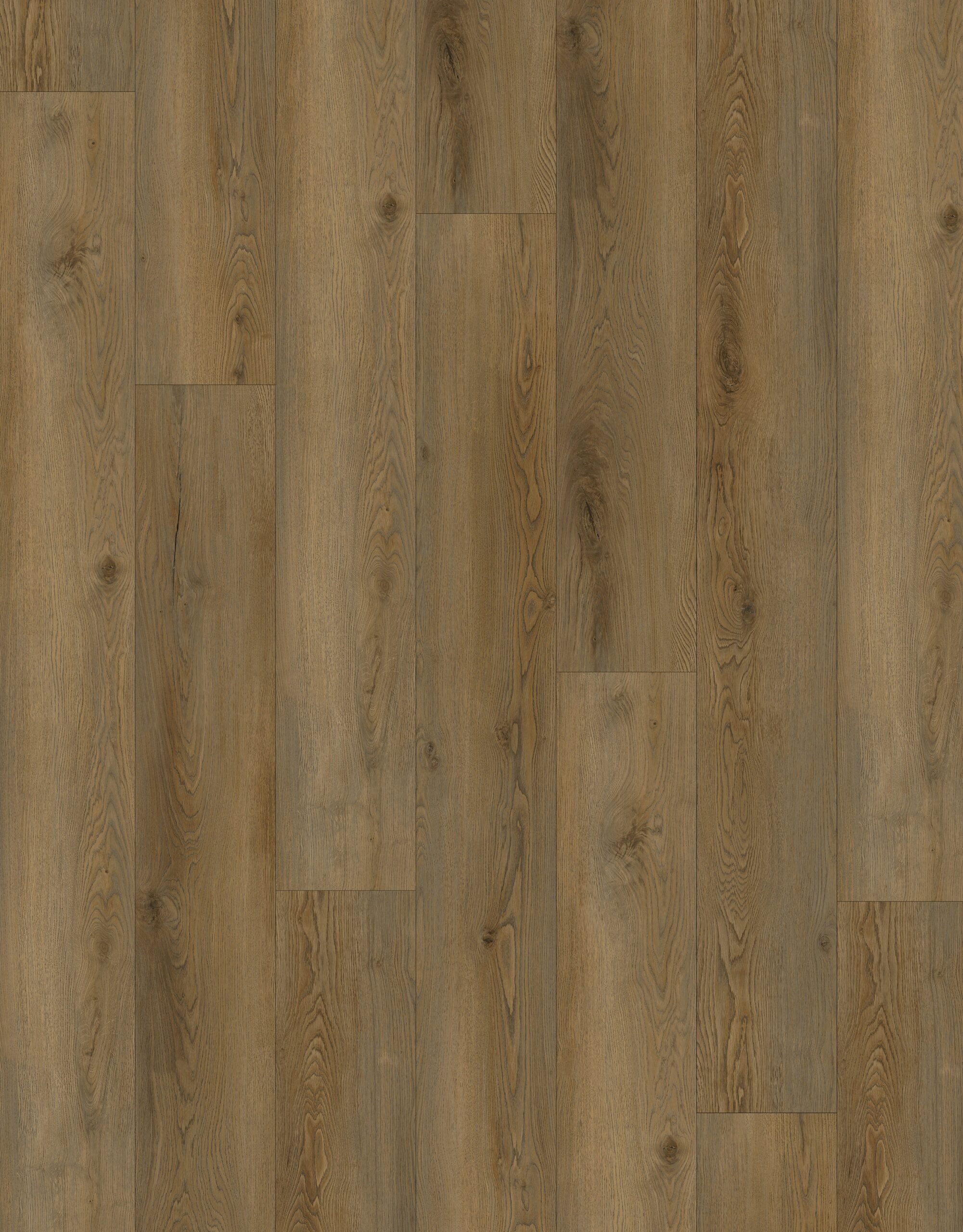 E88288XL-001