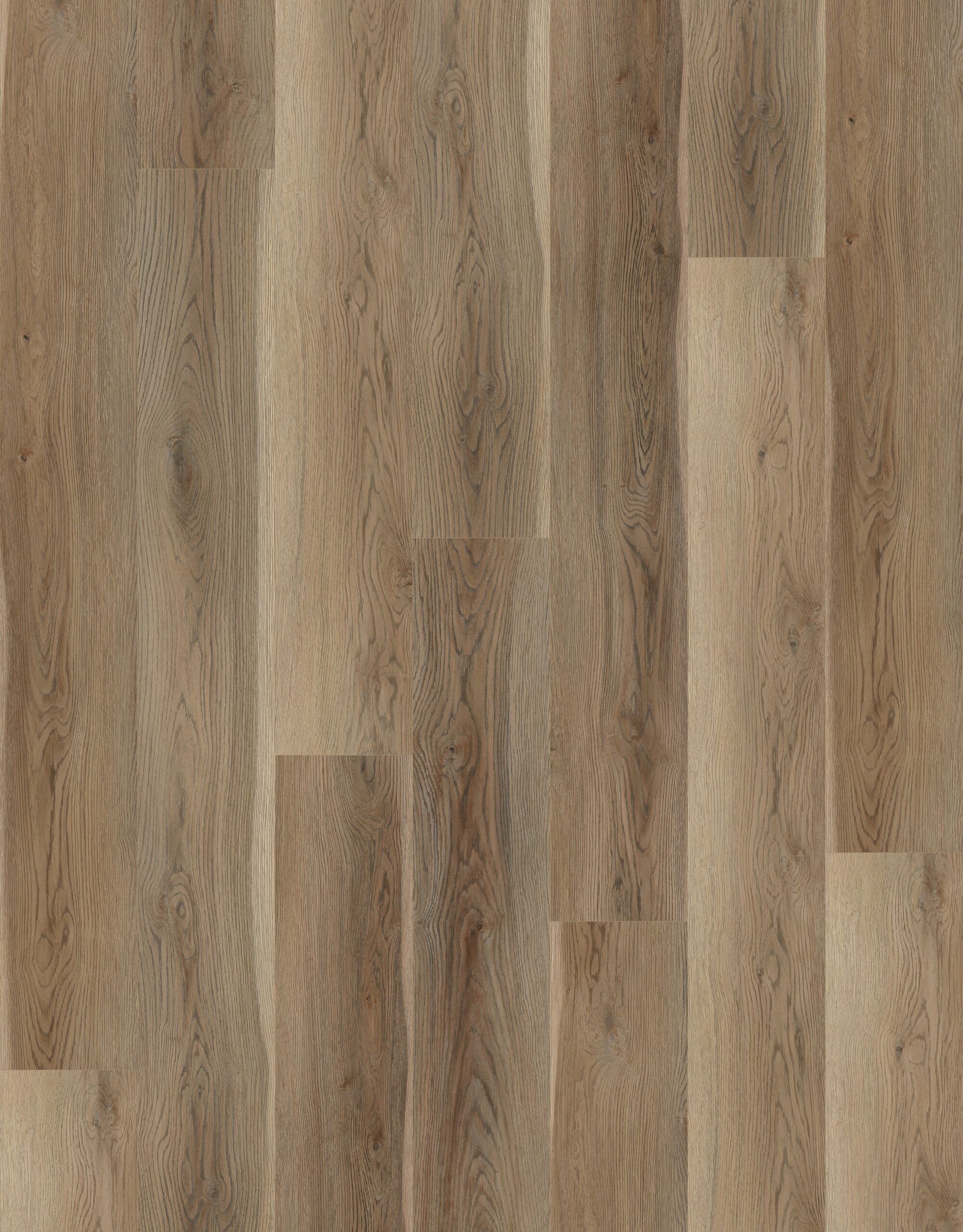 E88304L-001