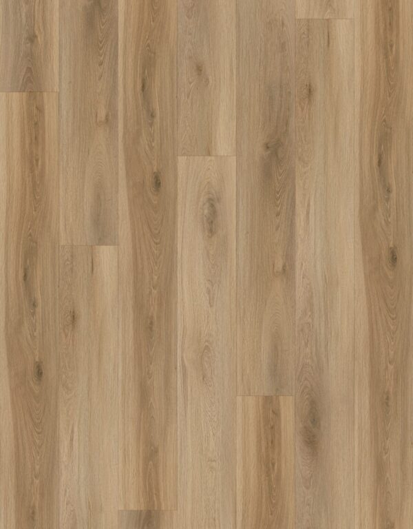 E88323XL-001