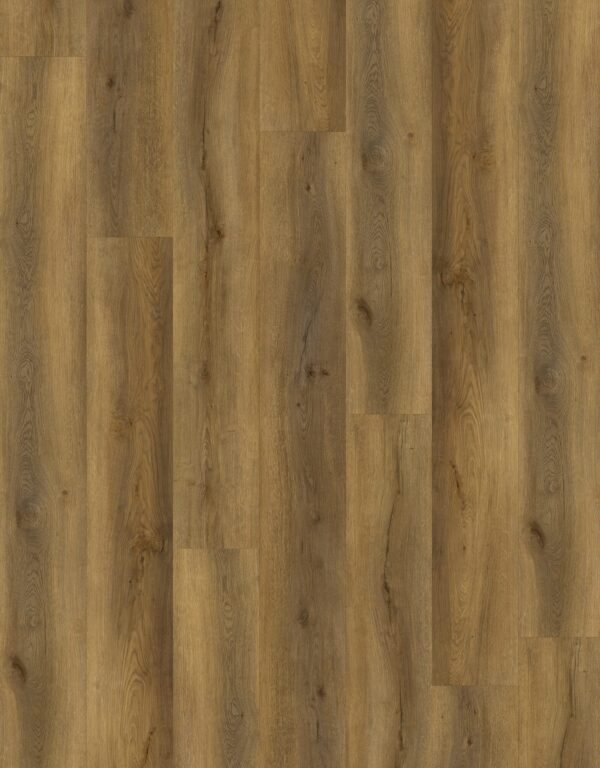 E88379XL-001