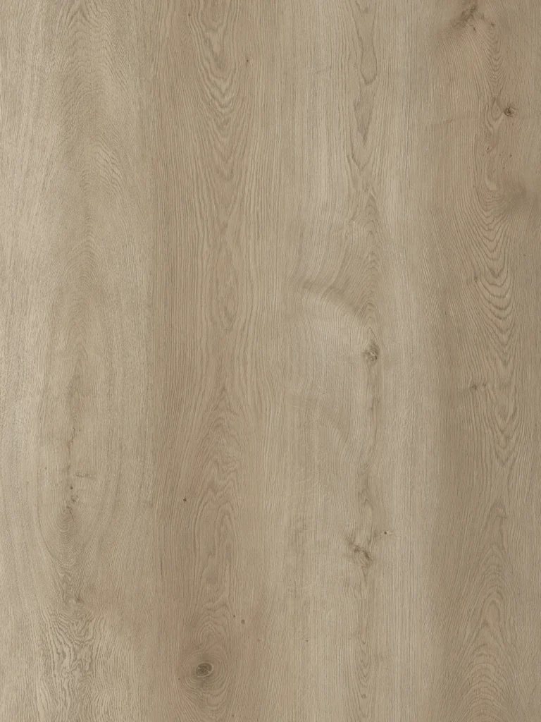 Eco.Info-119 Classic Warm Taupe Hickory EIR Texture SPC Plank design plan